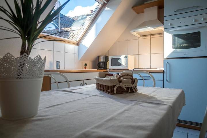 Appartement de vacances pour 3 personnes, avec jardin, animaux acceptés - 1