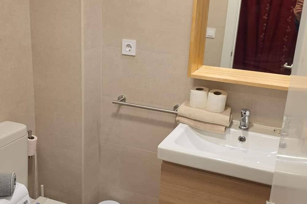 Ganze Wohnung, Bergstudio Candanchú für 4 Pers. in Candanchú, Aisa