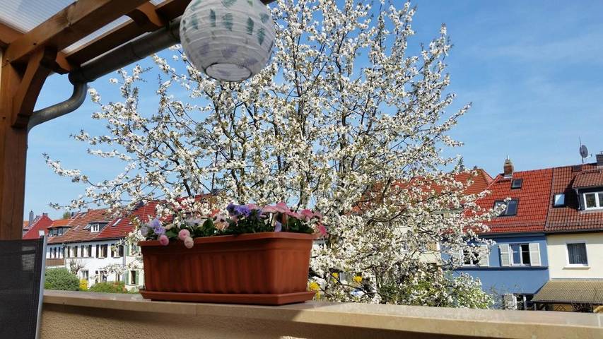 BnB für 3 Personen, mit Ausblick in Thüringen - 3