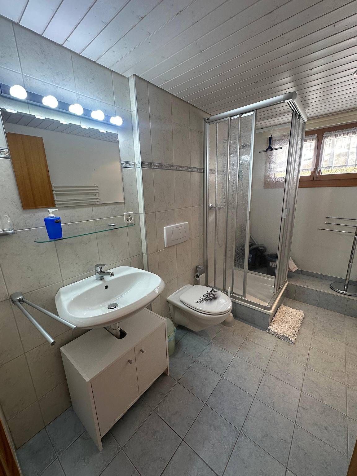 Ganze Ferienwohnung, Fotohaus Barbier Nr. 8 - 3-Zimmer Ferienwohnung in Glarus Süd, Kanton Glarus