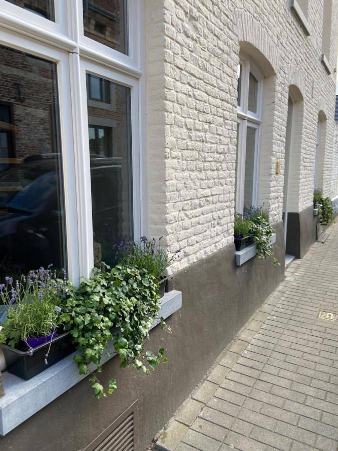 Gîte pour 2 personnes, avec terrasse à Tongres - 2