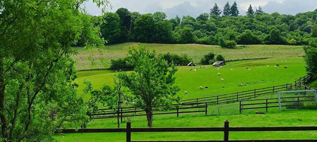 Location de vacances pour 2 personnes, avec jardin ainsi que vue et piscine à La Calamine - 3