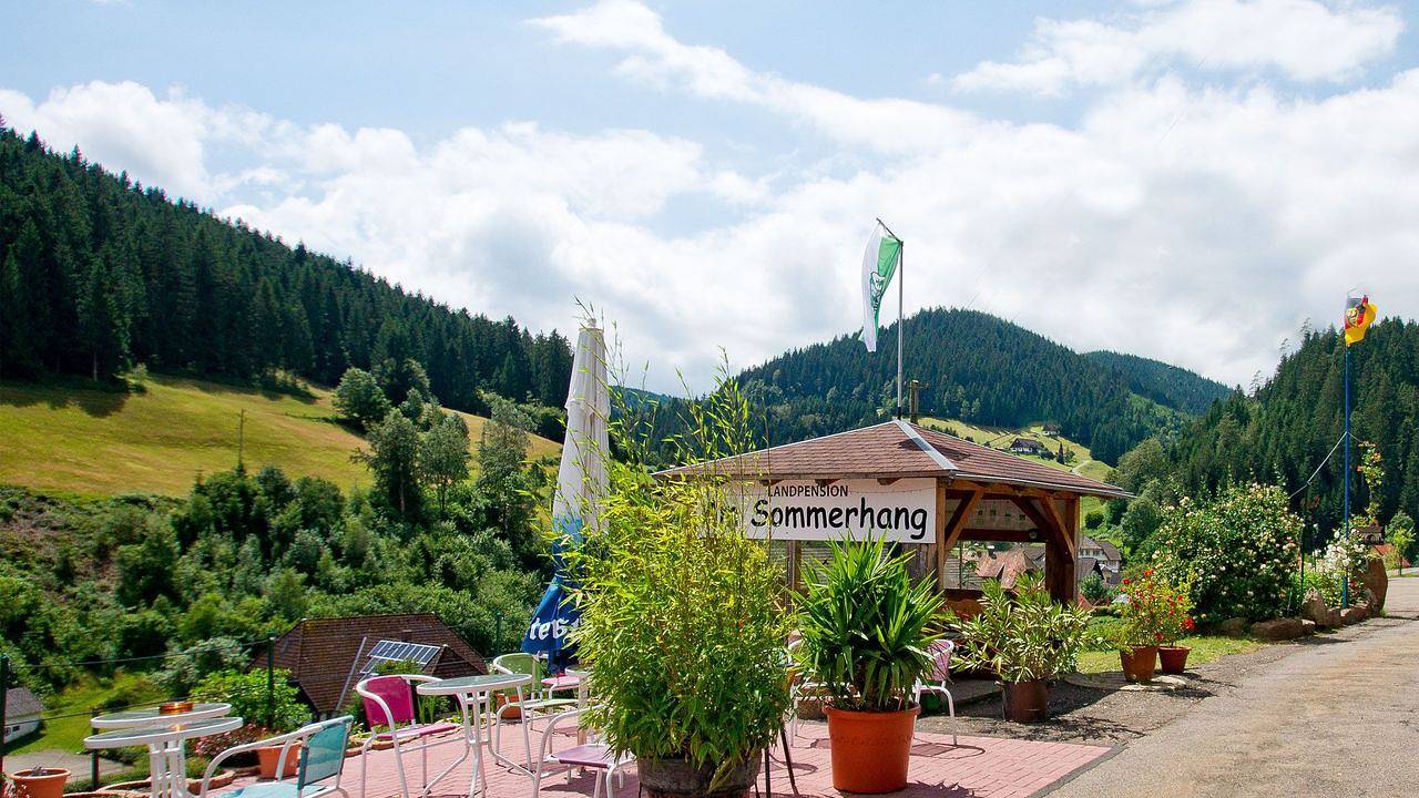 Ganze Ferienwohnung, Ferienwohnung für 4 Personen (60 m²) in Bad Rippoldsau-Schapbach in Bad Rippoldsau-Schapbach, Mittlerer Schwarzwald