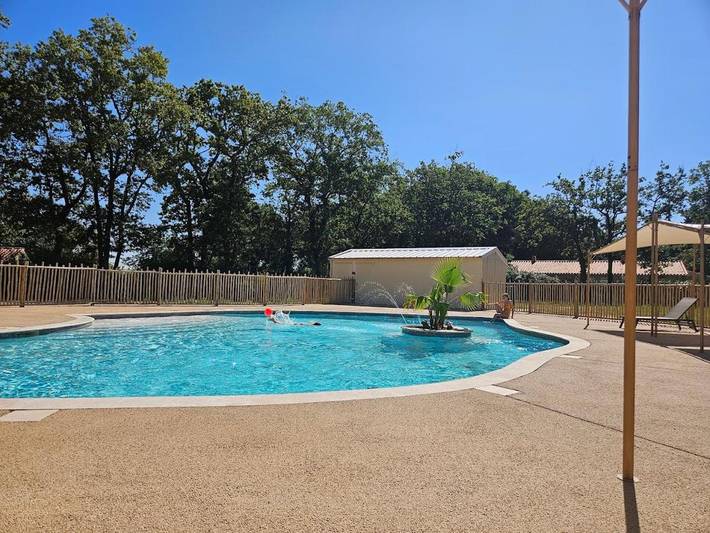 Parc de vacances pour 8 personnes, avec jardin ainsi que piscine et jacuzzi à Mareuil-sur-Lay-Dissais - 3