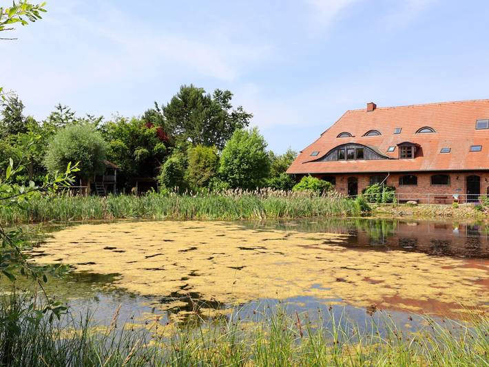 Ganze Wohnung, Besondere Ferienwohnung Bibliothek in Buschenhagen in Neu Bartelshagen, Stralsund Umland