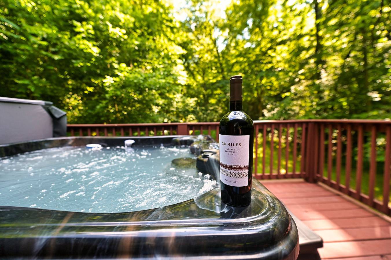Ganze Wohnung, Smoky Mountains Honeymoon Cabin Dog Friendly in Sevier County