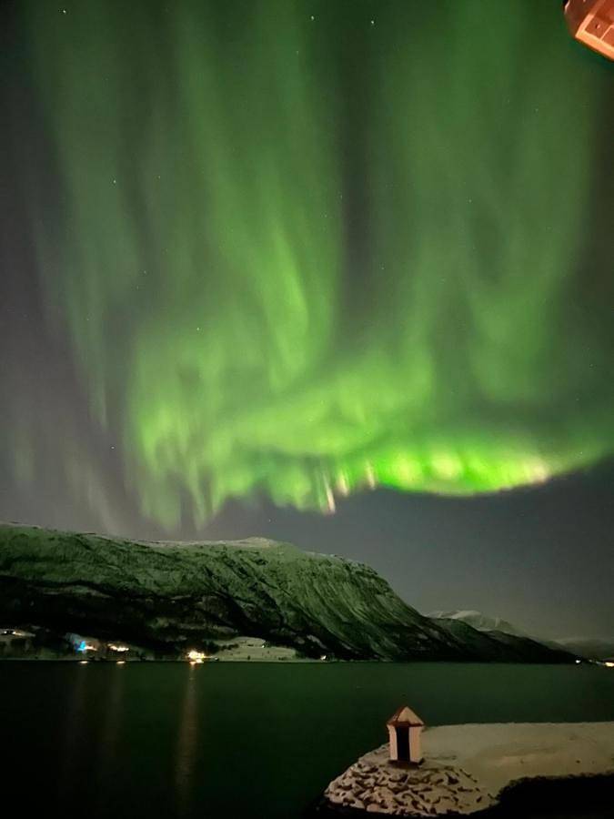 Malangen Arctic Sealodge Cabin 10 in Balsfjord