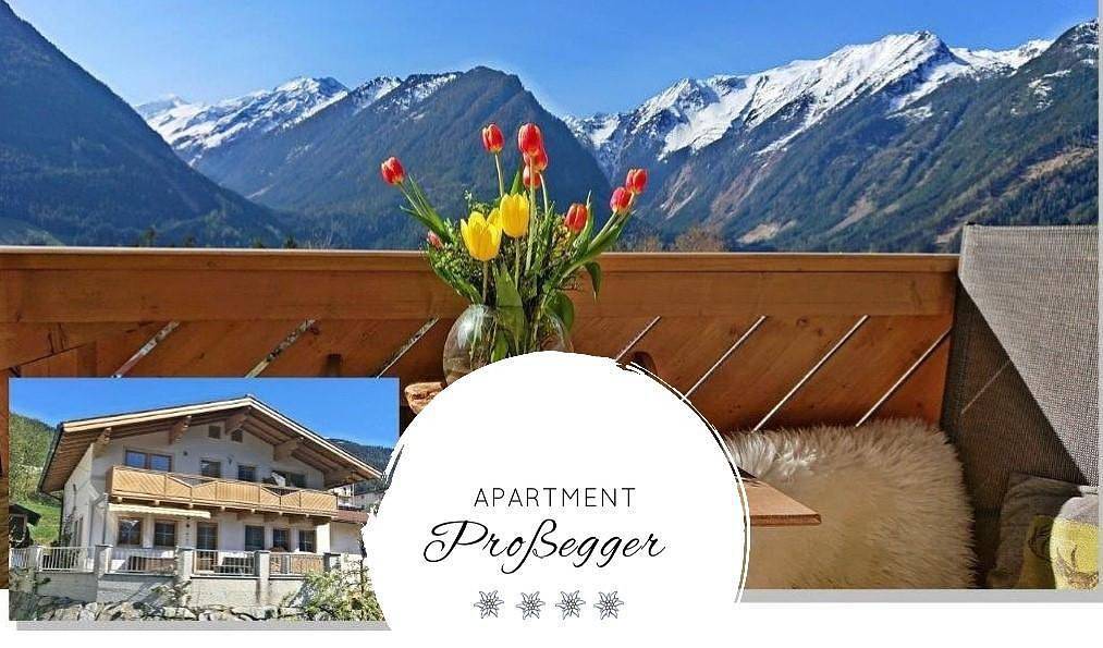 Ganze Ferienwohnung, Apartment/2 Schlafräume/Bad, Wc in Neukirchen am Großvenediger, Pinzgau