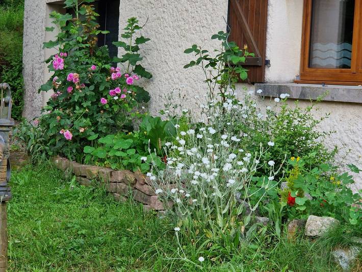 Gîte pour 3 personnes, avec terrasse dans les Vosges - 3