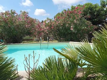 Gîte pour 4 personnes, avec piscine et terrasse à Maillane