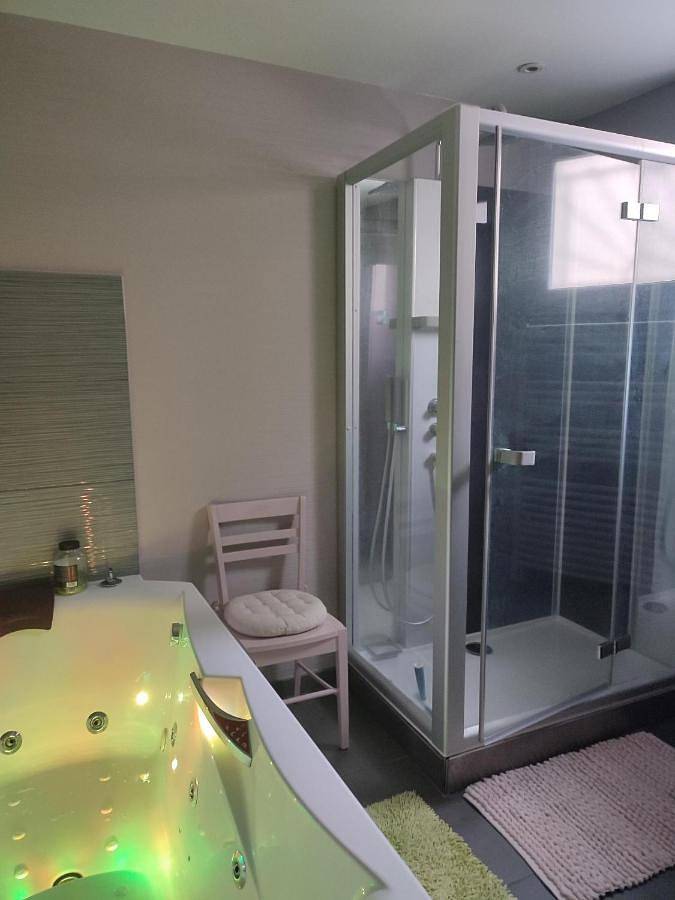 Location de vacances pour 4 personnes, avec jacuzzi et terrasse à Vichy - 4
