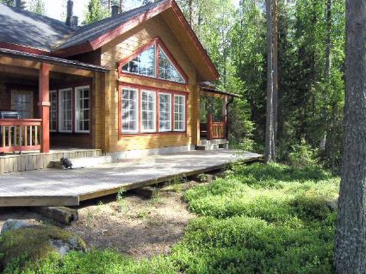 Puolukka in Eräkorpi, Nord-Savo
