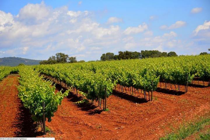 Gîte pour 4 personnes, avec vue et jardin dans San Martin Sarroca - 3