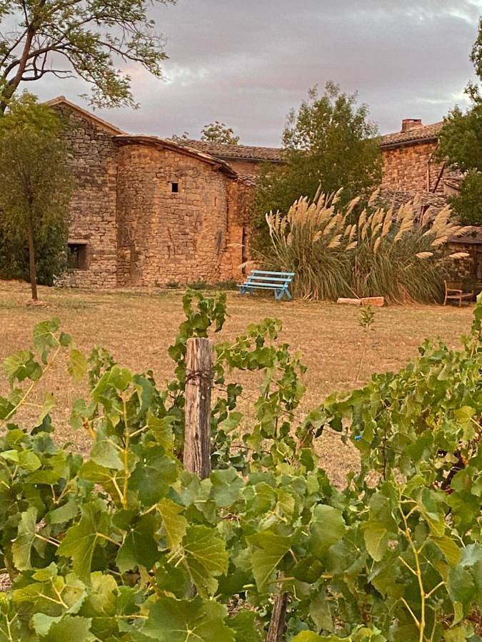 Les vins de Rouyré - Maison, 4 pers, grand jardin, bain nordique in Sainte-Cécile-du-Cayrou, Région d'Albi