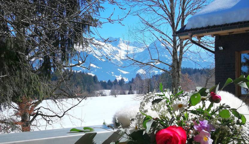 Hütte für 2 Personen, mit Balkon und Terrasse sowie Garten in Ofterschwang - 4