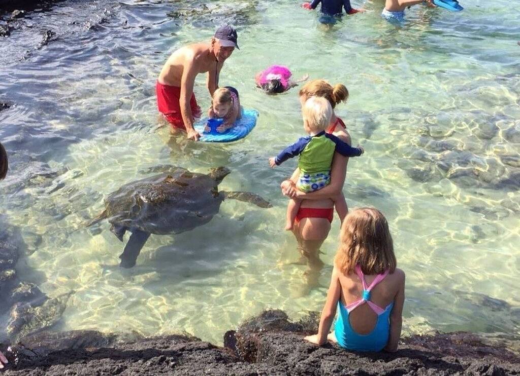 Hulili Tropical Fruit Farm - Lassen Sie unsere 160 Five Star Reviews die Geschichte erzählen! in Hakalau, Hamakua