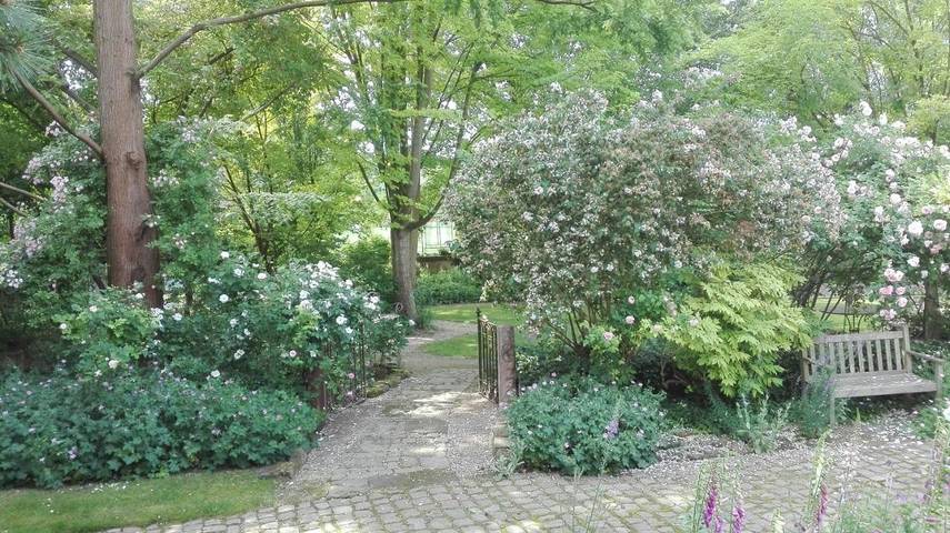 Location de vacances pour 2 personnes, avec vue et jardin à Plobsheim - 4