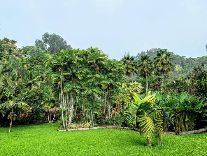 Location de vacances pour 6 personnes, avec jardin dans Tahiti - 3