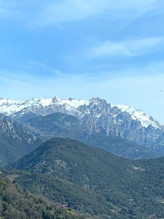 Double Room with Mountain View in Murzo, Région d'Ajaccio
