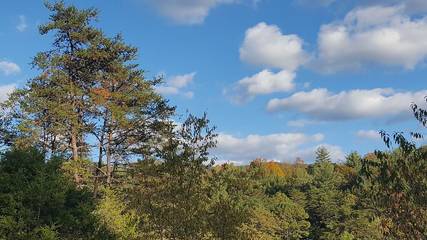 Lake House for 4 Guests in Shenandoah Valley, Virginia, Picture 1