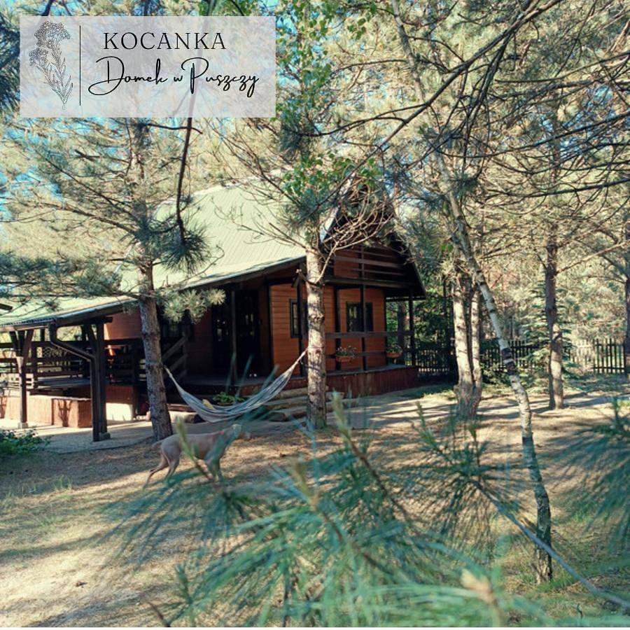 Domek w Puszczy ,,Kocanka" in Powiat czarnkowsko-trzcianecki