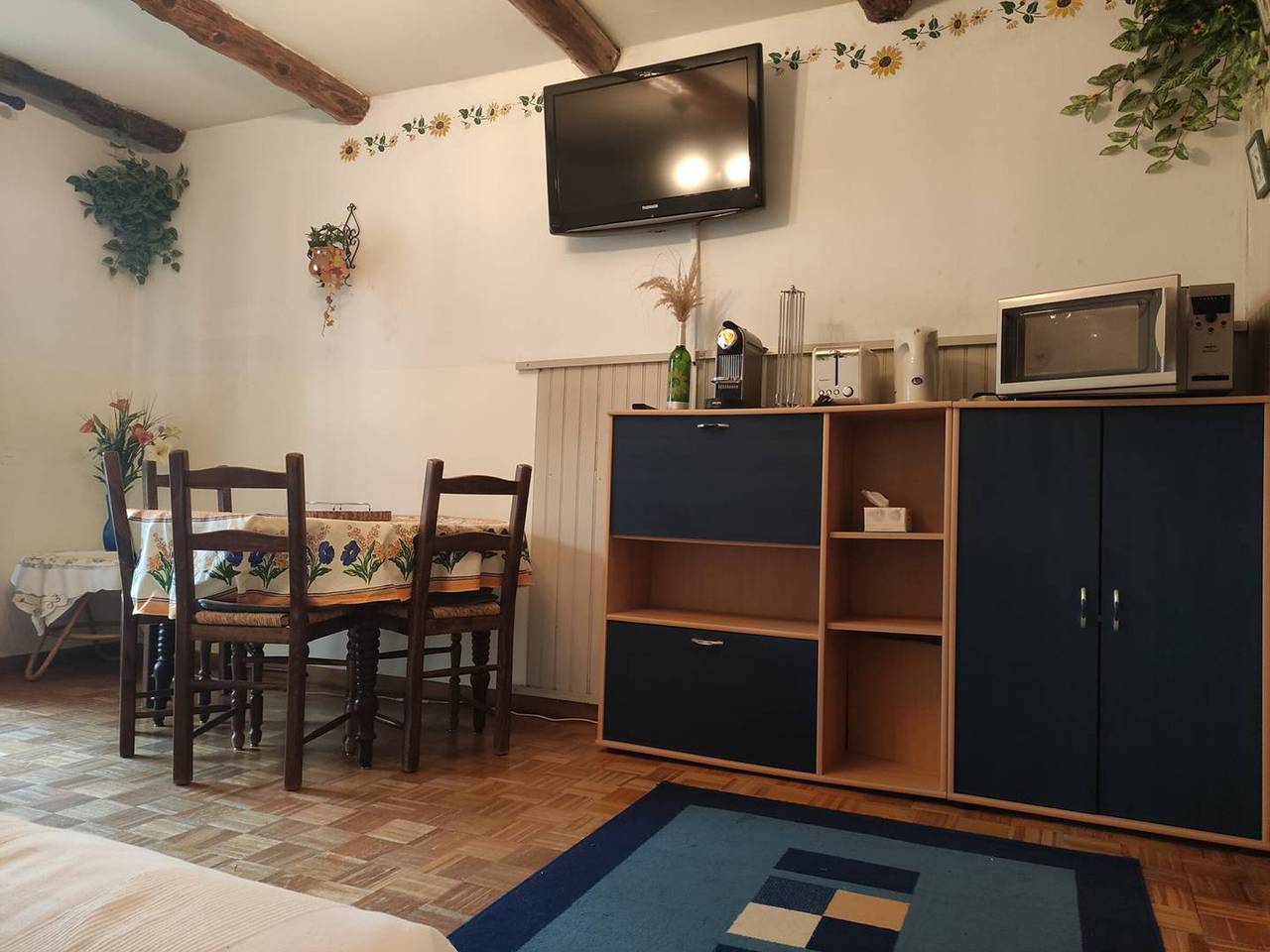 Estudio entero, Estudio cómodo a pie de pistas con terraza in Le Sauze, Enchastrayes