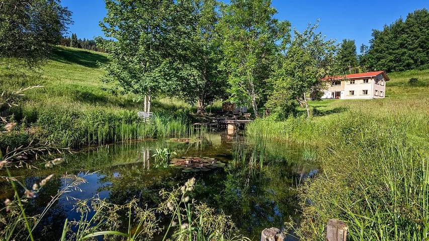 Ferienhaus für 8 Personen, mit Garten in Oberstaufen - 2