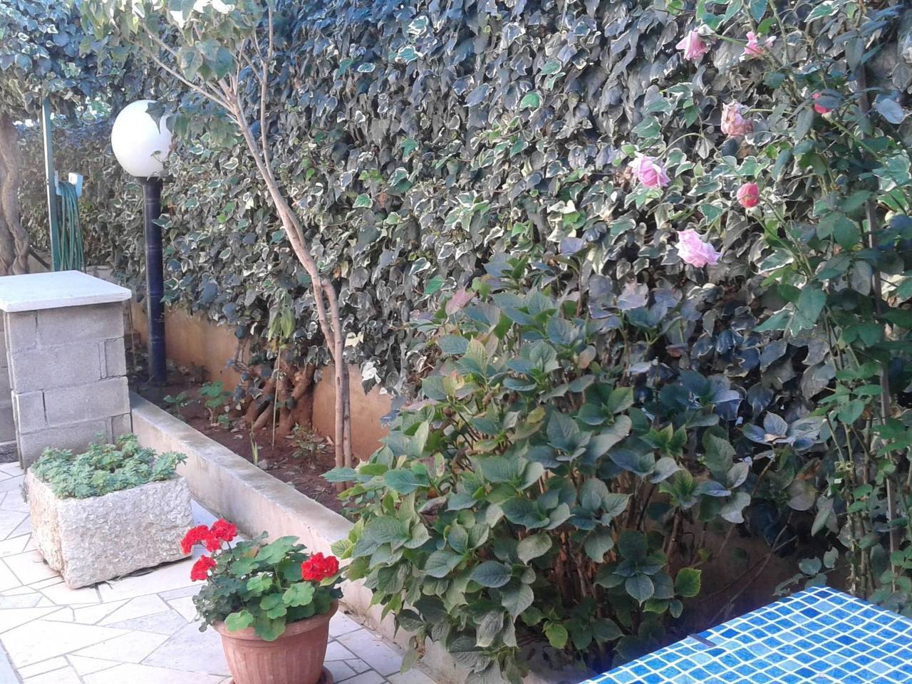 Ganze Wohnung, "" mit privater Terrasse in Medulin Stadt, Medulin