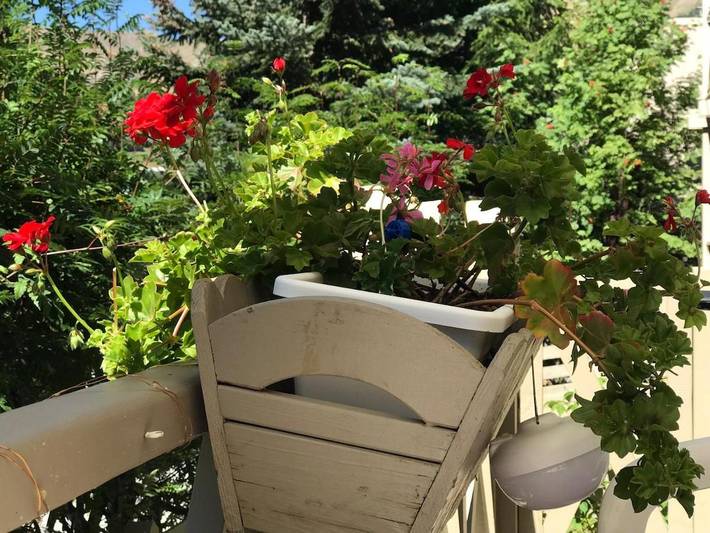 Chalet pour 6 personnes, avec jardin et vue dans La Foux d'Allos
