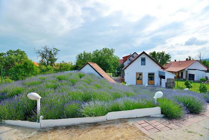 Villa für 21 Personen, mit Pool und Garten sowie Ausblick und Sauna am Balaton - 4