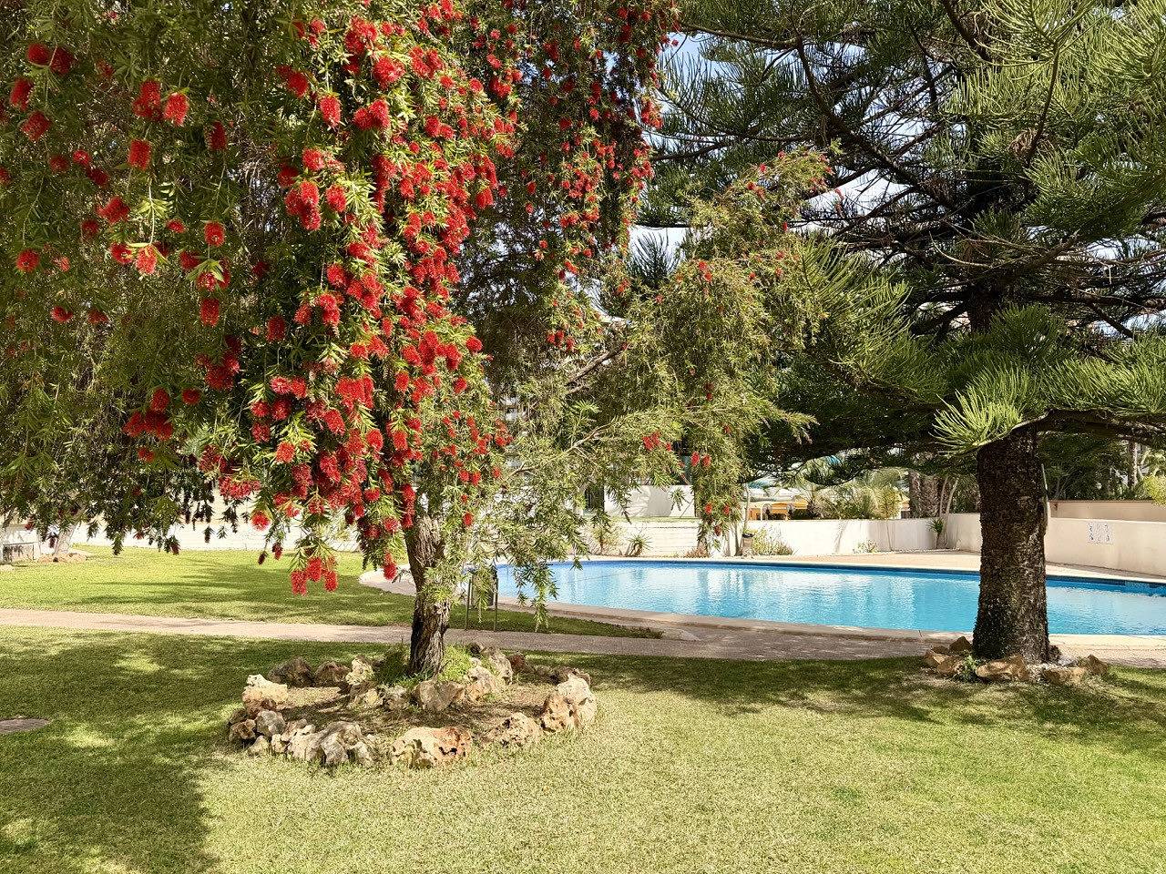 Appartamento vacanze a Benidorm a partire da 70€ a notte
