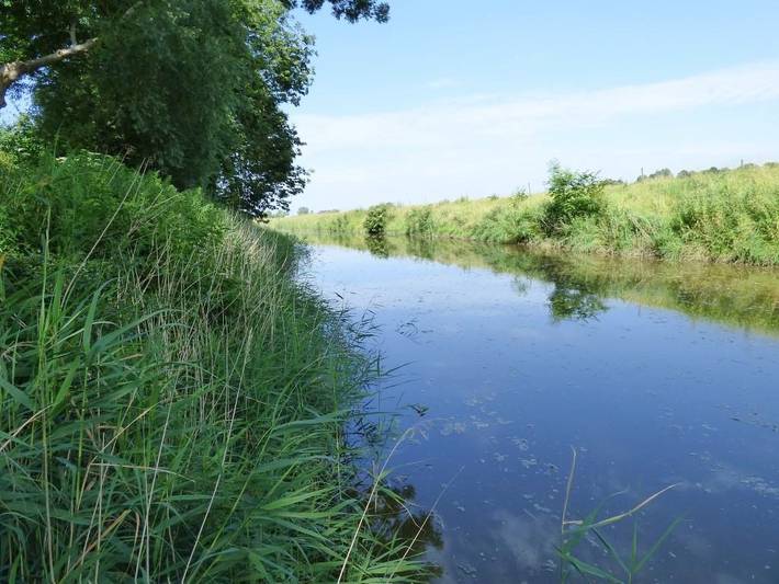 Ganze Ferienwohnung, Ferienwohnung Wasserkoog in Wasserkoog, Tetenbüll