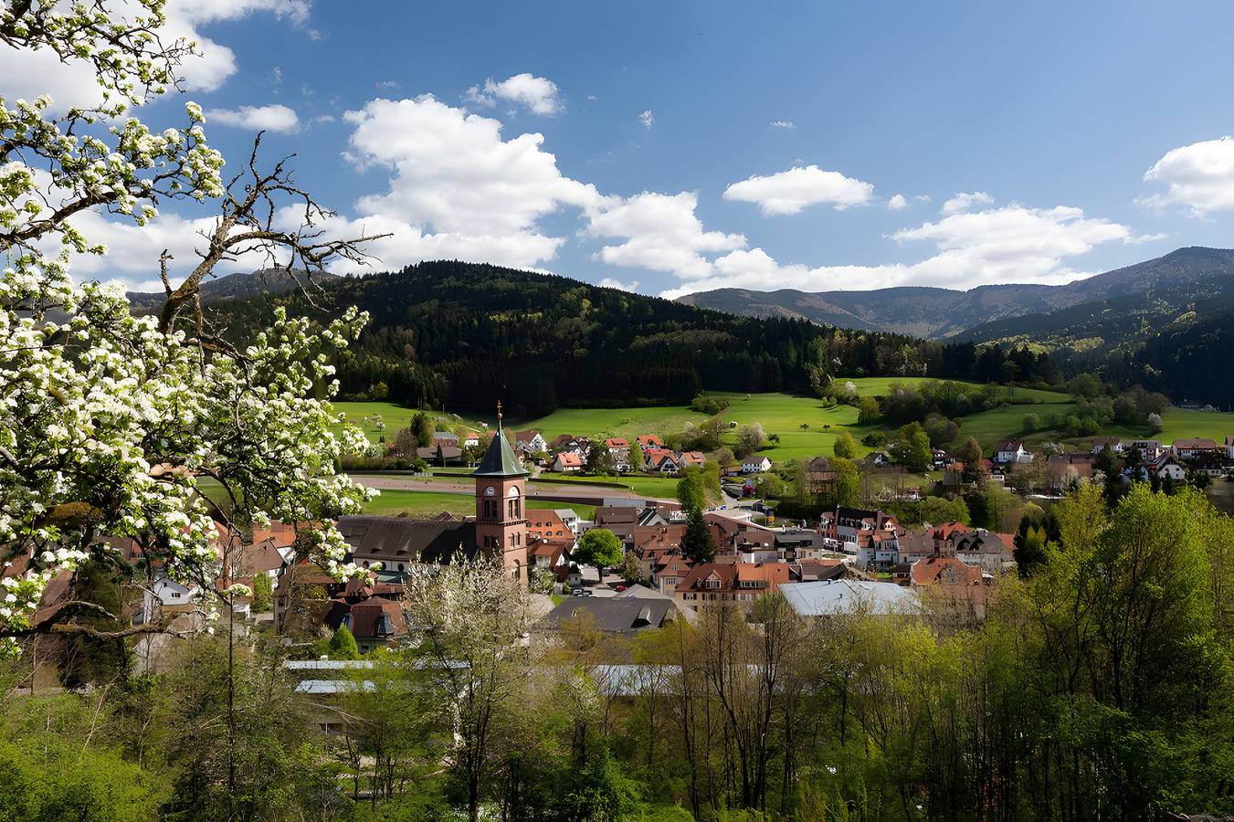 Ganze Wohnung, Ferienwohnung 'Fewo Blumenweg' mit Privatterrasse und Wi-Fi in Elzach, Südschwarzwald