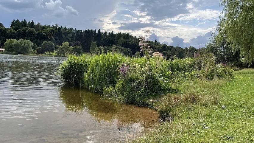 Ferienwohnung für 4 Personen, mit Balkon, mit Haustier in Losheim am See - 3