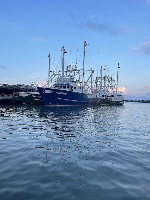 Vacation rental for 12 people, with garden and balcony, with pets in Cape May