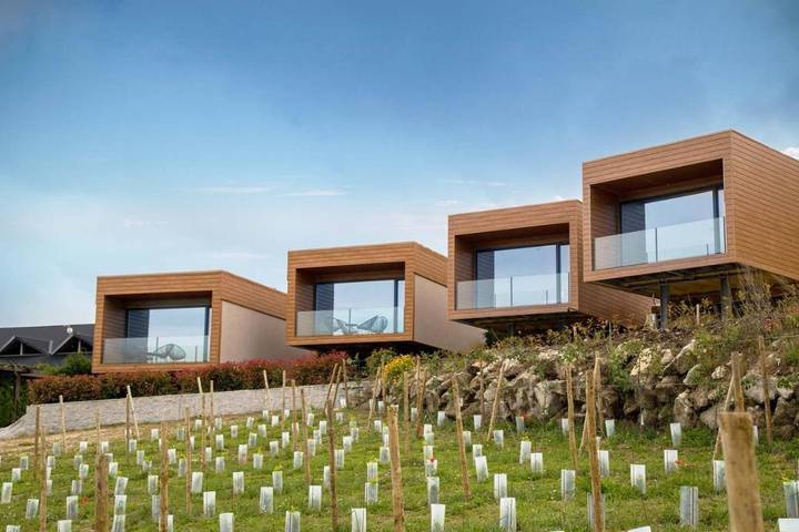 Gîte pour 2 personnes, avec sauna et jacuzzi ainsi que jardin et piscine à Lamego - 2