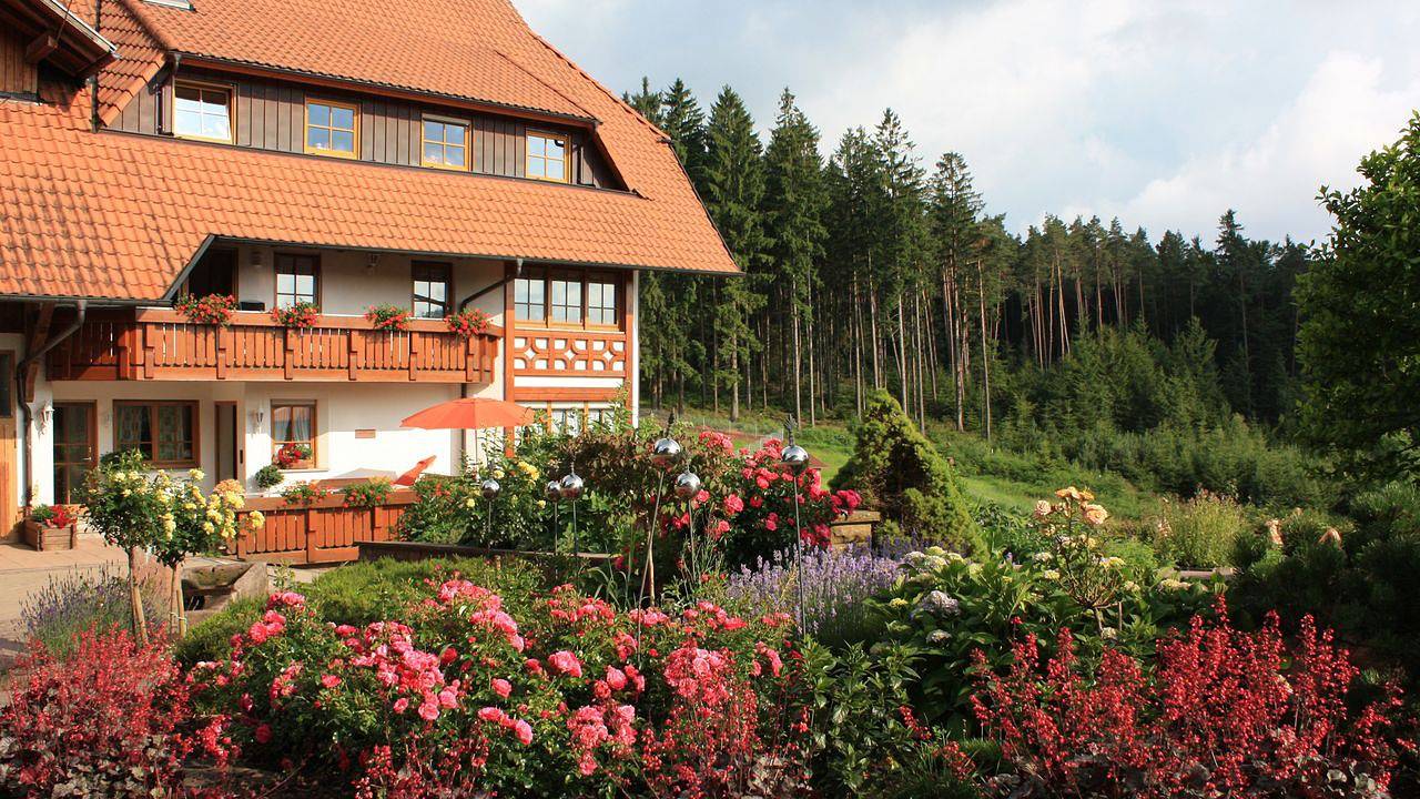 Ferienhaus für 4 Personen (55 m²) in Elzach in Elzach, Mittlerer Schwarzwald