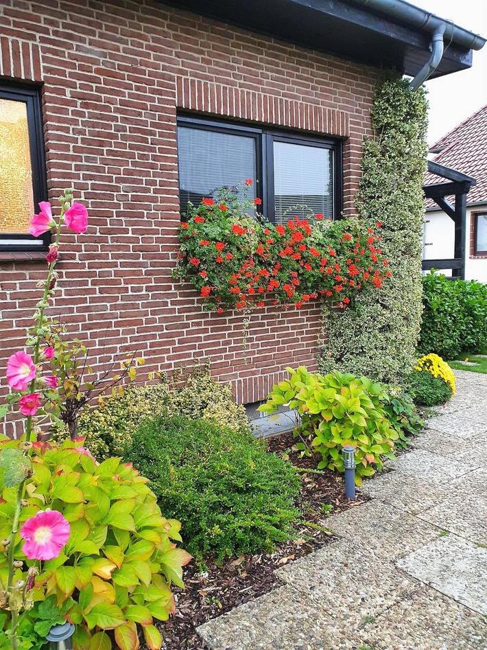 Ganze Ferienwohnung, Fewo, 2 Zimmer, 1-3 Pers. in Meine, Landkreis Gifhorn