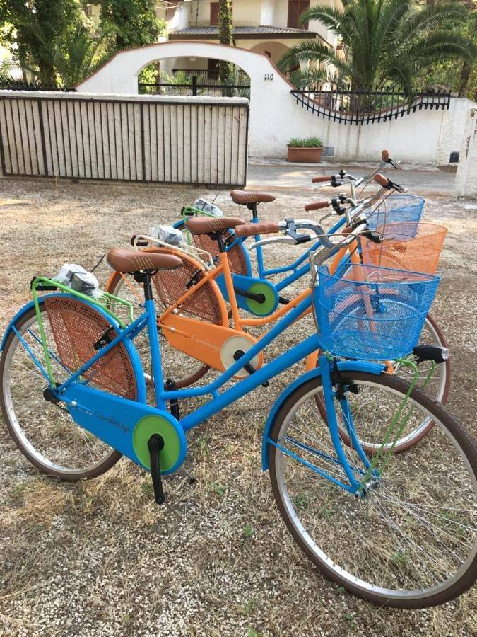 Gîte pour 5 personnes, avec vue et jardin, animaux acceptés dans Castellaneta Marina - 2