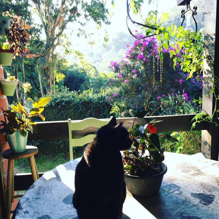 Maison d’hôte pour 3 personnes, avec jardin et piscine, animaux acceptés à Joinville - 4