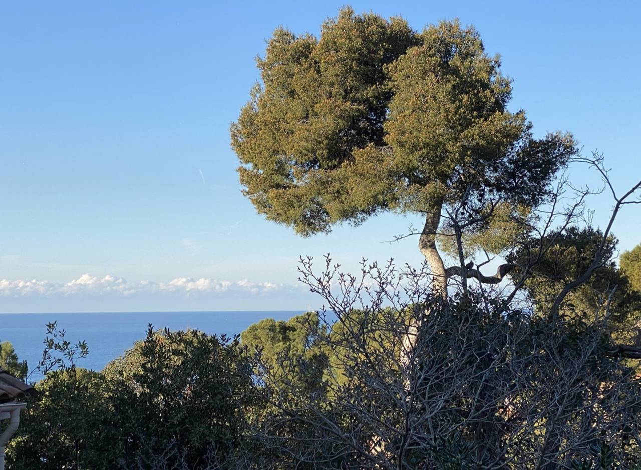 Chambres d'hôtes du Vallon des Bourguignons - Suite mer et jardin in Marseille, Région de Marseille