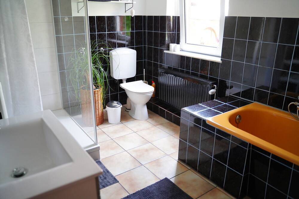 Ganze Wohnung, Kleine Oase in Radebeul (für 4 Personen) in Radebeul, Meißen Region
