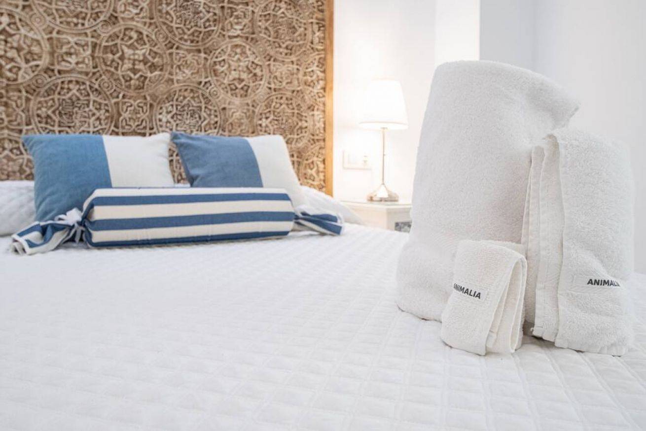 Entire apartment, Apartamento Animalia in Cadiz Old Town, Cádiz