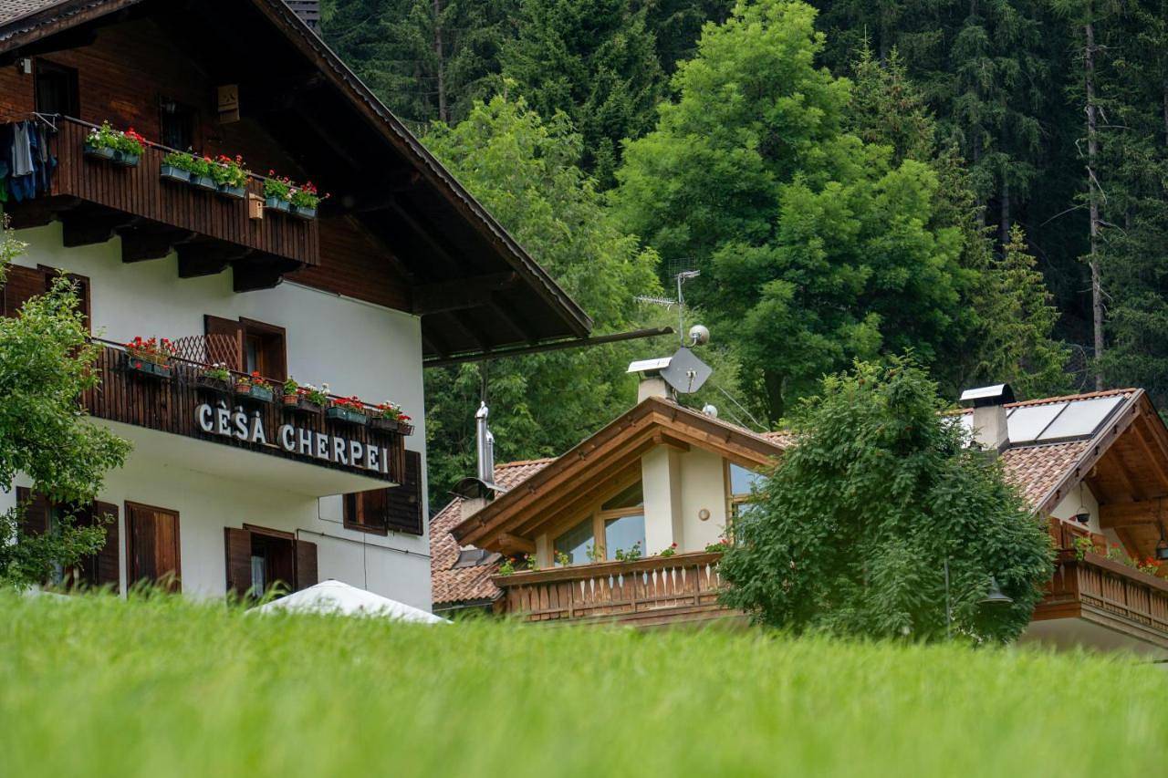 Cèsa Cherpei - Dog Friendly in Campitello di Fassa, Dolomiti Superski