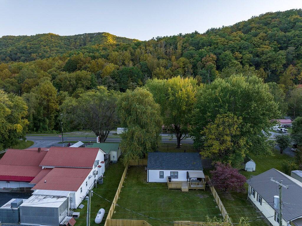 Cozy cottage on Creeper Trail -Fenced in backyard for dogs. Near Restaurants in Damascus, Washington County (VA)
