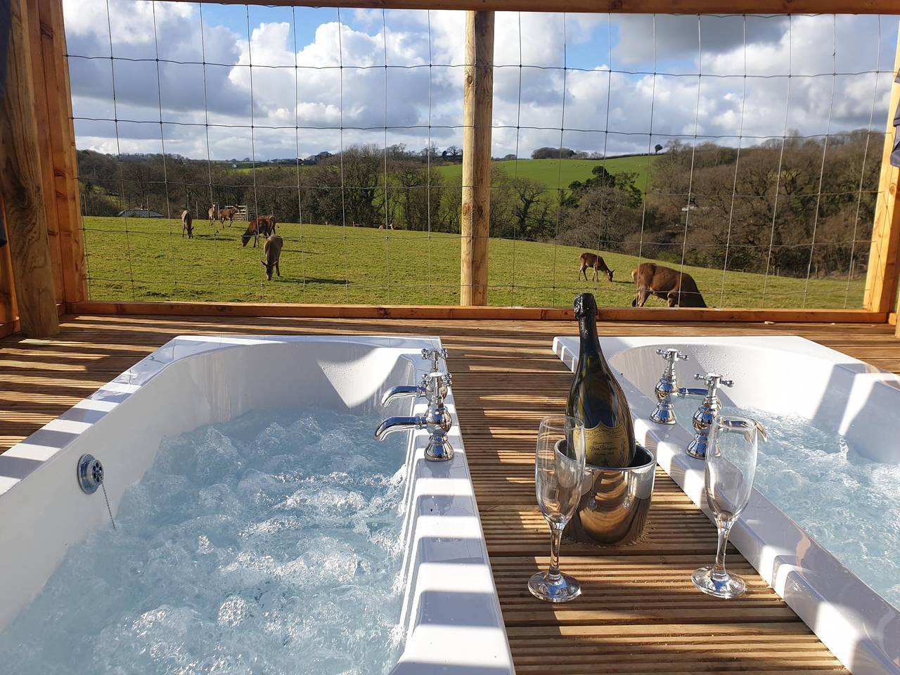 Luxury Safari Lodge-Sleeps 4/6-Deer Park-Dogs Ok in Zeal Monachorum, Devon