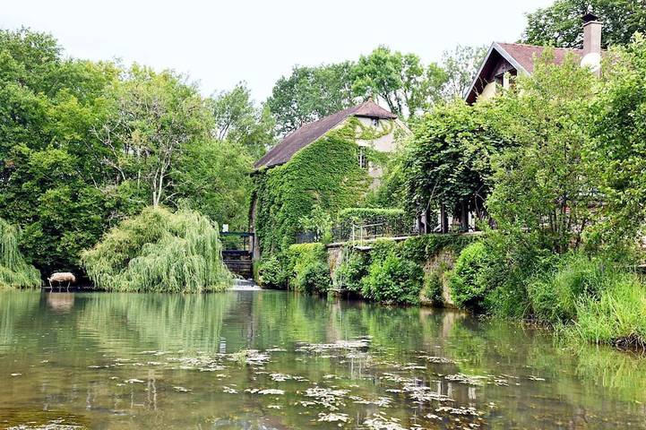 Gîte pour 14 personnes, avec terrasse et jardin à Renève