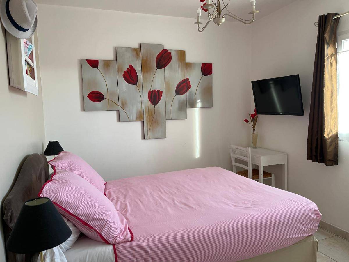 Les hortensias in Château-d'Olonne, Les Sables-d'Olonne