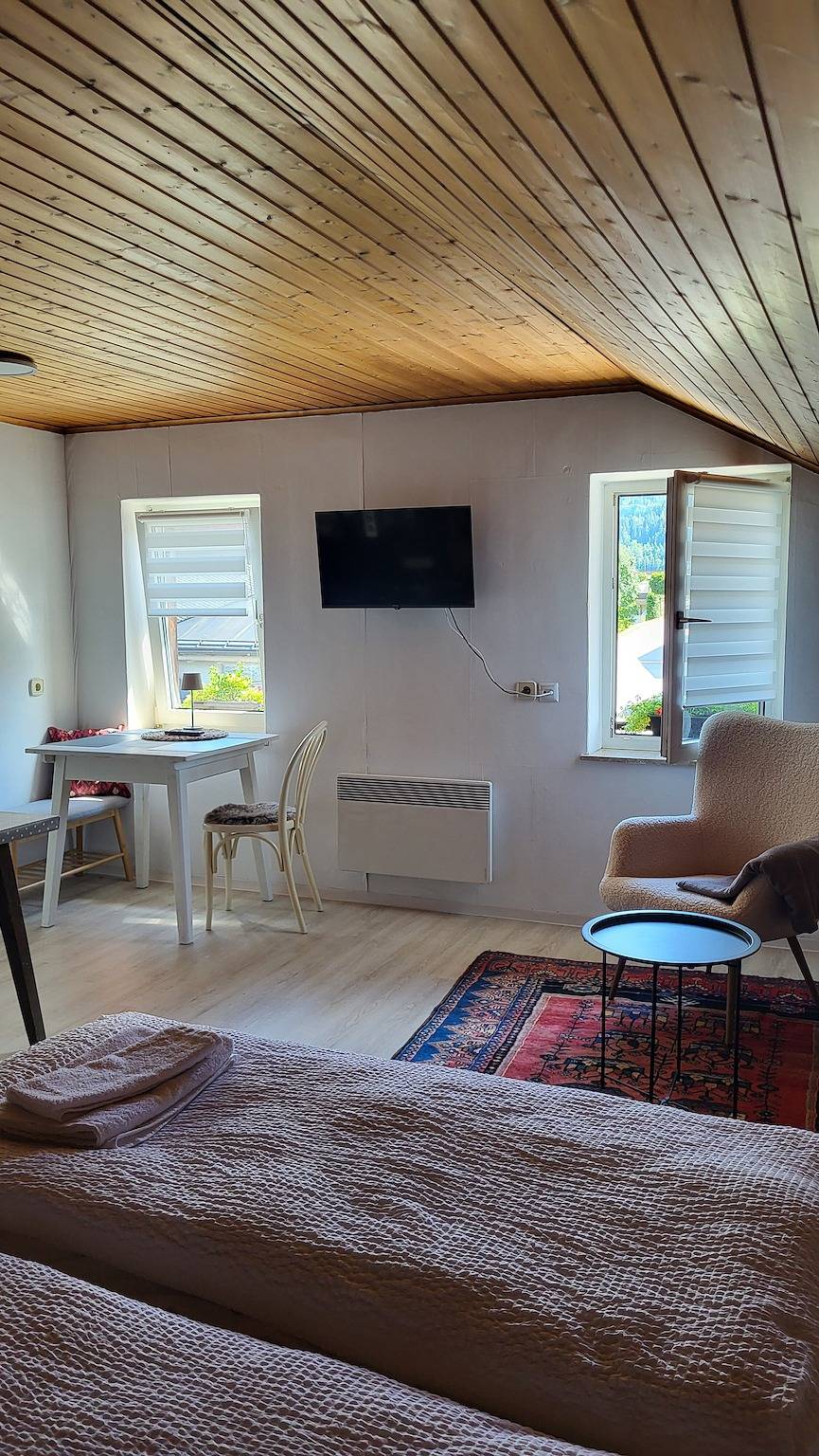 Ganzes Studio, Studio Apartment Lena Apartments 3 in Hochkönigstock, Bischofshofen