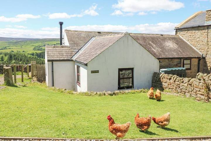 Cottage for 4 people, with garden, with pets - 1